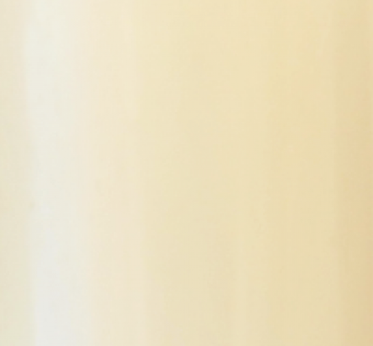Bleach Blond